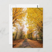 Wandelpad herfst-olievloeistof briefkaart (Voorkant / Achterkant)