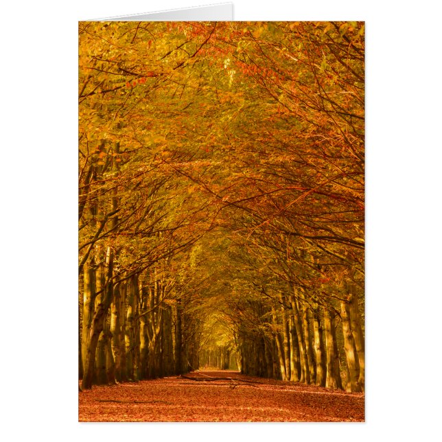 Wandelpad in bos met verticale herfstkaart (Voorkant)