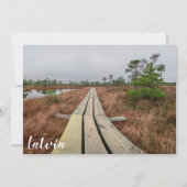 Wandelpad in moeras (Voorkant)