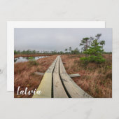 Wandelpad in moeras (Voorkant / Achterkant)