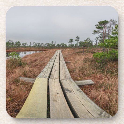 Wandelpad in moeras bier onderzetter (Voorkant)