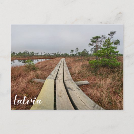 Wandelpad in moeras briefkaart (Voorkant)