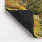 Wandelpad Muismat (Hoek)