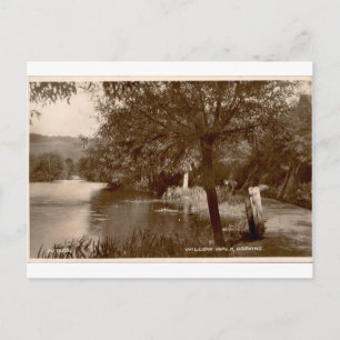 Wandelpad Willow Walk Dorking Vintage Sepia Uitzic Briefkaart