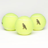 Wanderfalke Tennisballen (Multi)