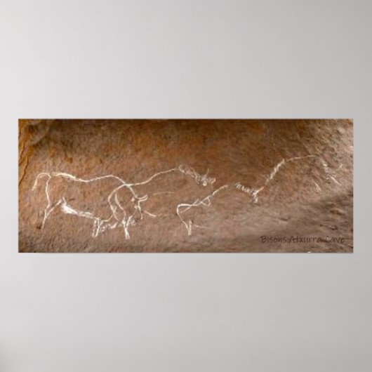 Wandering Bison Herd Poster (Voorkant)