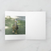 Wandering Duck Kaart (Binnen)