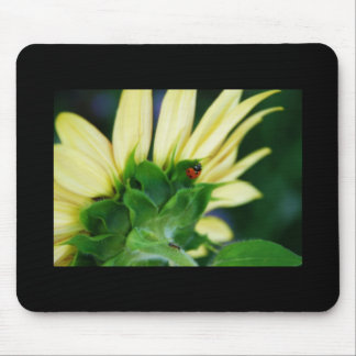 Wandering Ladybug Mousepad Muismat