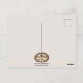 Wandkaart met mannetjeseland briefkaart (Achterkant)