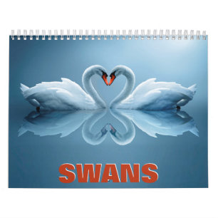 Wandrooster voor swabans kalender