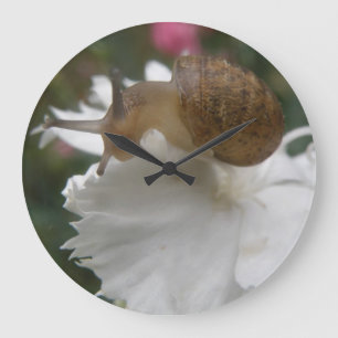 Wandspiering en witte anjer grote klok