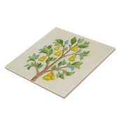 Wandtegels van de pear tegeltje (Zijkant)