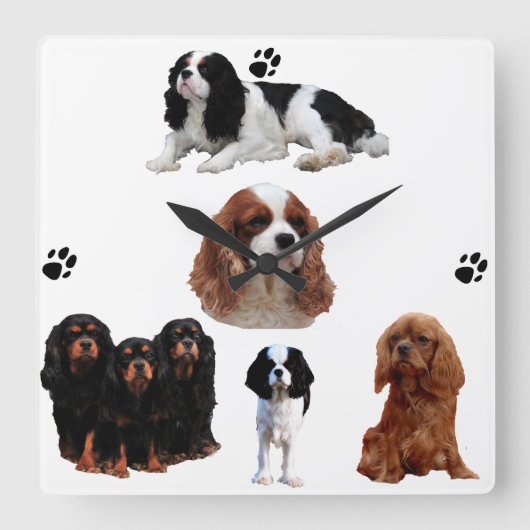 Wanduhr Cavalier-King-Charles-Spaniel Vierkante Klok (Voorkant)