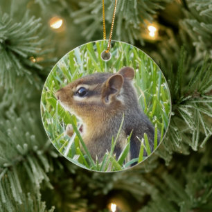 Wangzanger Keramisch Ornament
