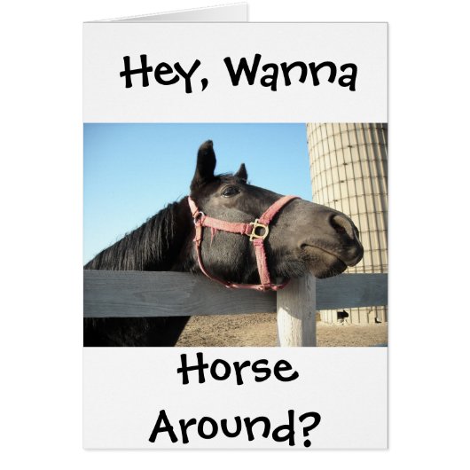 Wanna Horse Autour (Devant)