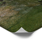 Wanneer Dinosauriërs Roamed Poster (Hoek)