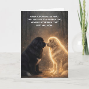Wanneer een hond overlijdt kaart