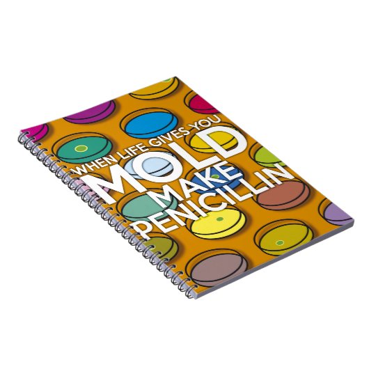 WANNEER HET LEVEN U GEEFT MOET U PENICILLIN MAKEN NOTITIEBOEK (Rechterzijde)