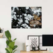 Wanneer het regent, hagelt het poster (Thuiskantoor)