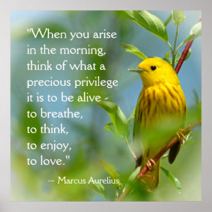 Wanneer je Marcus Aurelius inspiratie citaat aanha Poster