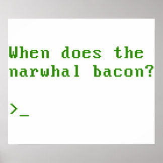 Wanneer komt de Narwhal Bacon VGA de vraag terug Poster