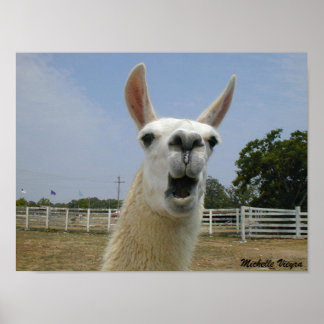 Wanneer Llamas aanvallen Poster