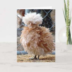 WANNEER SICK EEN HAMBURGER EET ***GEEN OPVUURBEELD KAART