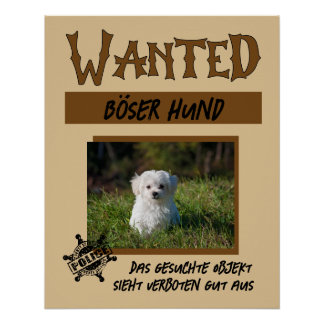 Wanted 1, personalisierbares Poster Perfect Poster