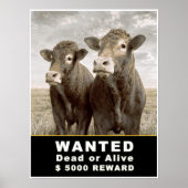 WANTED Dead of Alive $ 5.000 REWARD Poster (Voorkant)