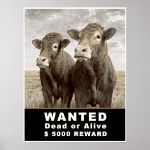 WANTED Dead of Alive $ 5.000 REWARD Poster