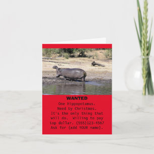 "WANTED: ÉÉN HIPPOPOTAMUS. BEHOEFTE VAN CHRISTMAS FEESTDAGEN KAART