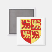 wapen van wales magneet (Voorkant / Achterkant)