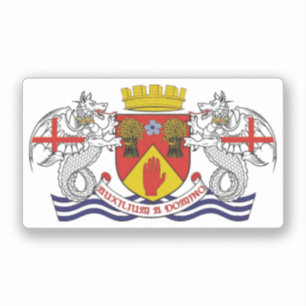 Wapenmunt van het graafschap London, N. Ireland Sticker