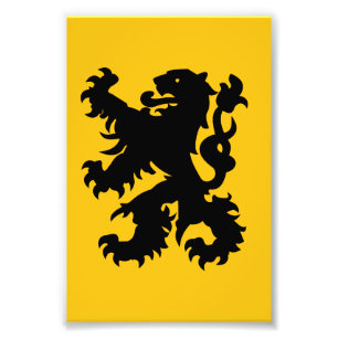 Wapenschild van de Vlaamse Leeuw Foto Afdruk