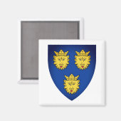 Wapenstaart van Dalmatia, Kroatië Magnet Magneet (Voorkant / Achterkant)