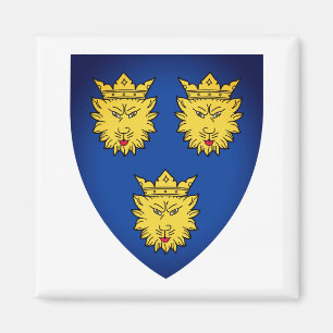 Wapenstaart van Dalmatia, Kroatië Magnet Magneet