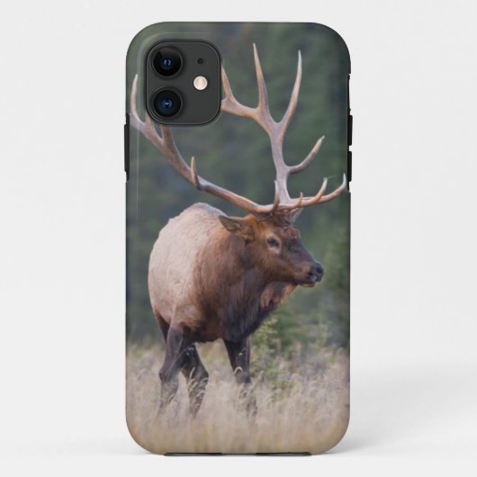 Wapiti Case-Mate iPhone Case (Achterkant)