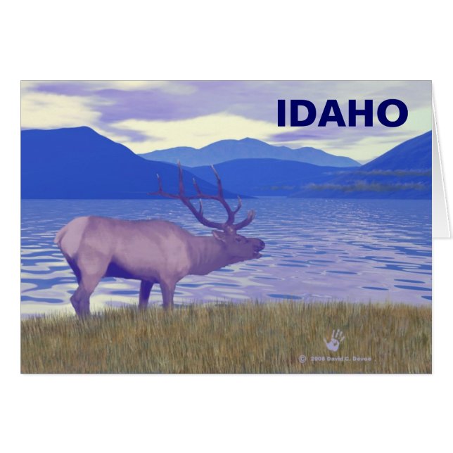 Wapiti (Elk) Sur Le Lac (Devant horizontal)