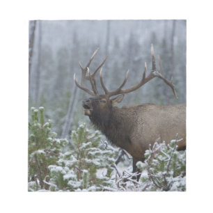 Wapiti-hert in de sneeuw roepend, buguilen, Yellow Notitieblok