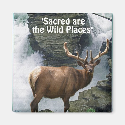 Wapiti & Waterval Wilderness Gift Magnet Magneet (Voorkant)