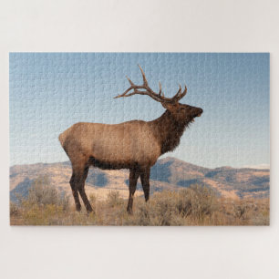 Wapitihengst bij Mammoth   Wyoming Legpuzzel
