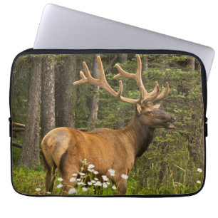 Wapitihengst in fluweel, Canada Laptop Sleeve