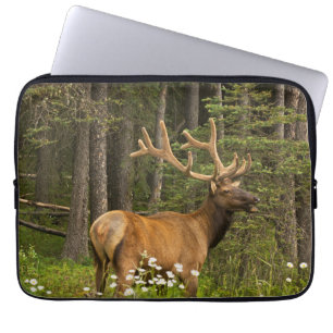 Wapitihert in fluweel, Canada Laptop Sleeve