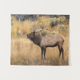 Wapitihert Yellowstone National Park Wandkleed
