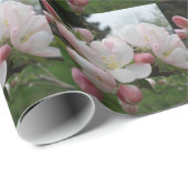 Wappapier met witte en roze vulling cadeaupapier (Rol Hoek)