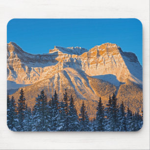 Waputik Range in Canadese Rocky Mountains Muismat
