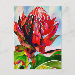 Waratah Australische waterverf van inheemse bloeme Briefkaart