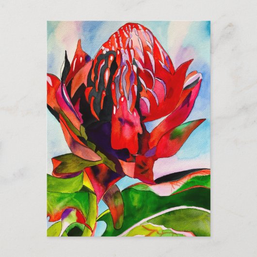 Waratah Australische waterverf van inheemse bloeme Briefkaart (Voorkant)