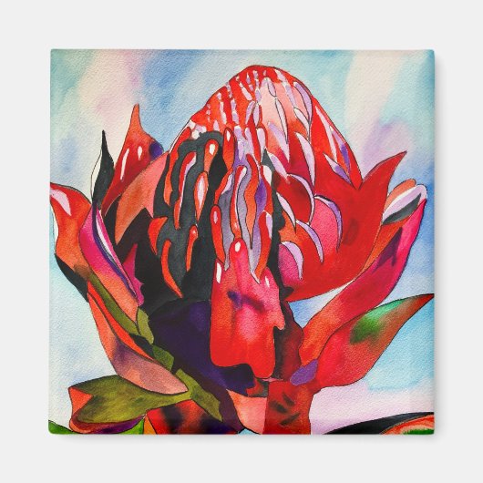 Waratah Australische waterverf van inheemse bloeme Magneet (Voorkant)