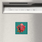 Waratah Australische waterverf van inheemse bloeme Magneet (Insitu (Vaatwasser))